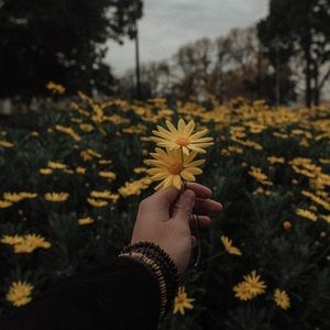 Meet your Posher, Ella